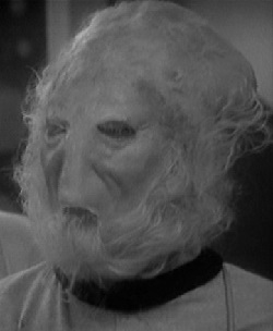 City Administrator (Sensorites)