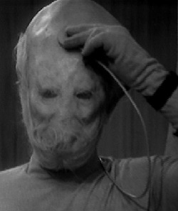 Chief Warrior (Sensorite)