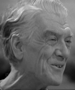 Commander of the Ark