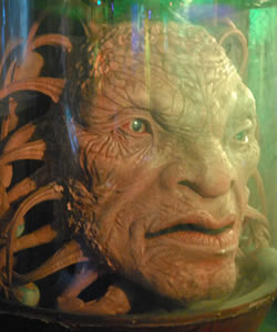 Face of Boe