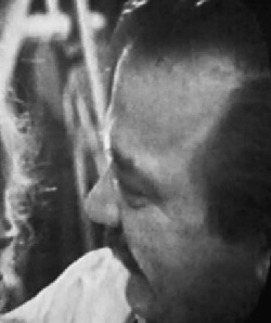 Steinberger P. Green